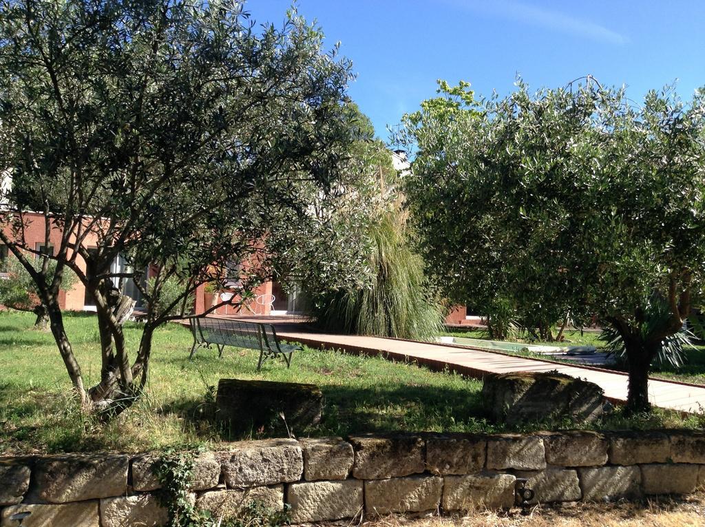 De La Suite Dans Les Oliviers Gallargues-le-Montueux Εξωτερικό φωτογραφία